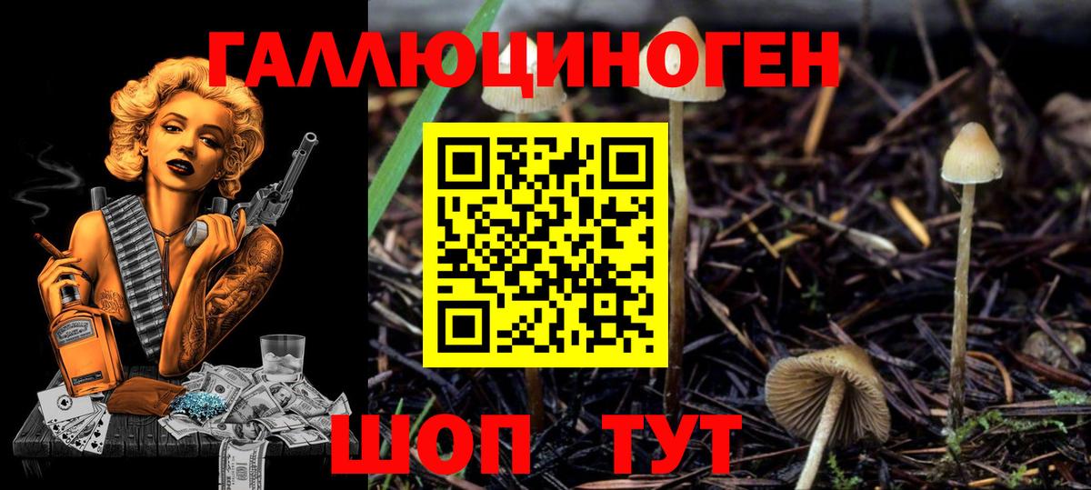 Галлюциногенные грибы прущие грибы  Вход с VPN  Псилоцибиновые грибы мухоморы  Бутурлиновка 
